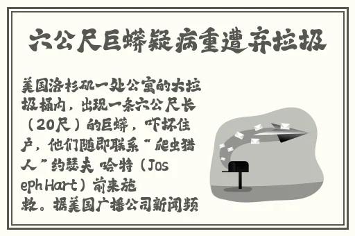 精品卡一卡二卡3卡高清乱码